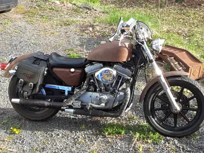 First year for the Evolution Engine. Works good. Sounds great. Lost a signal light off the back. I w...
