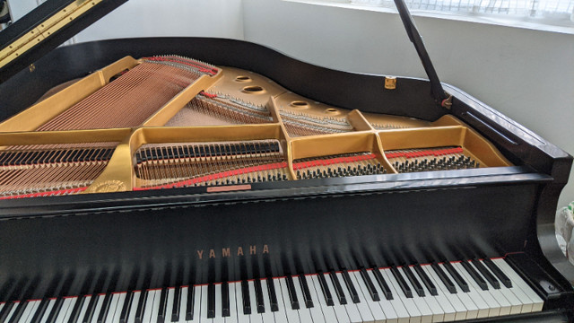 Yamaha Baby Grand Piano model G2 (5' 7") in Pianos & Keyboards in City of Halifax - Image 2