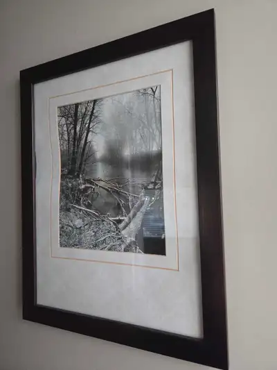 EUC & bought brand new. Beautiful monochromatic photographic print of a foggy forest creek scene. Pr...