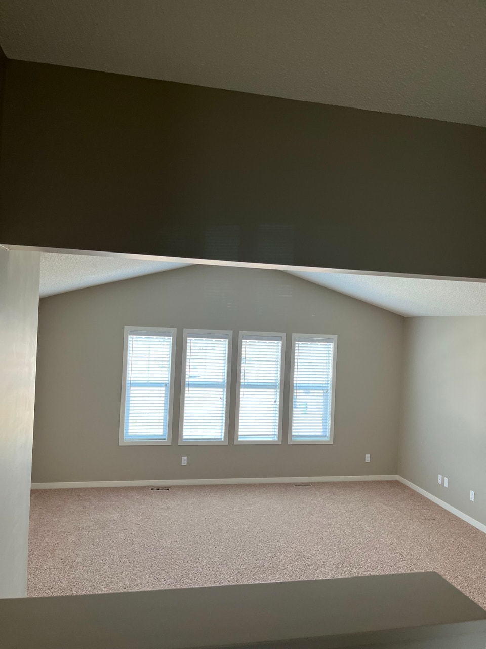 Rare Walkout Home 3