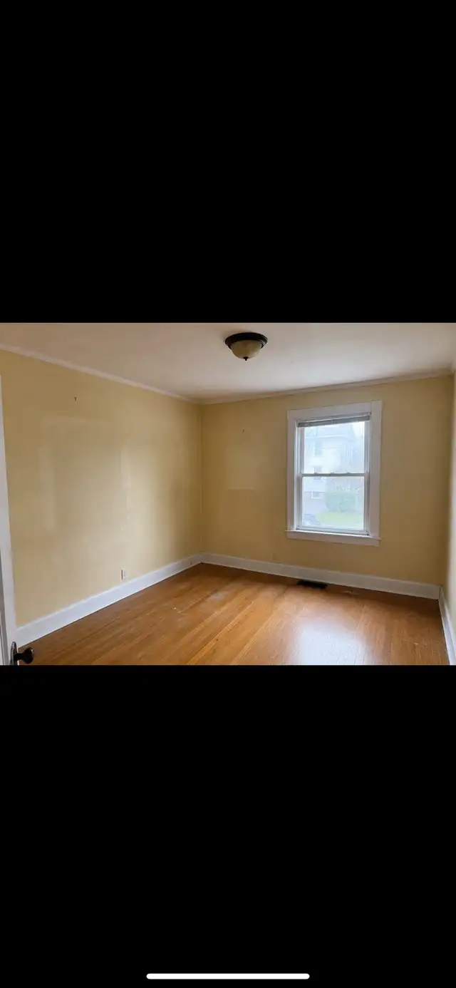 Painter /painting service529384736357109762