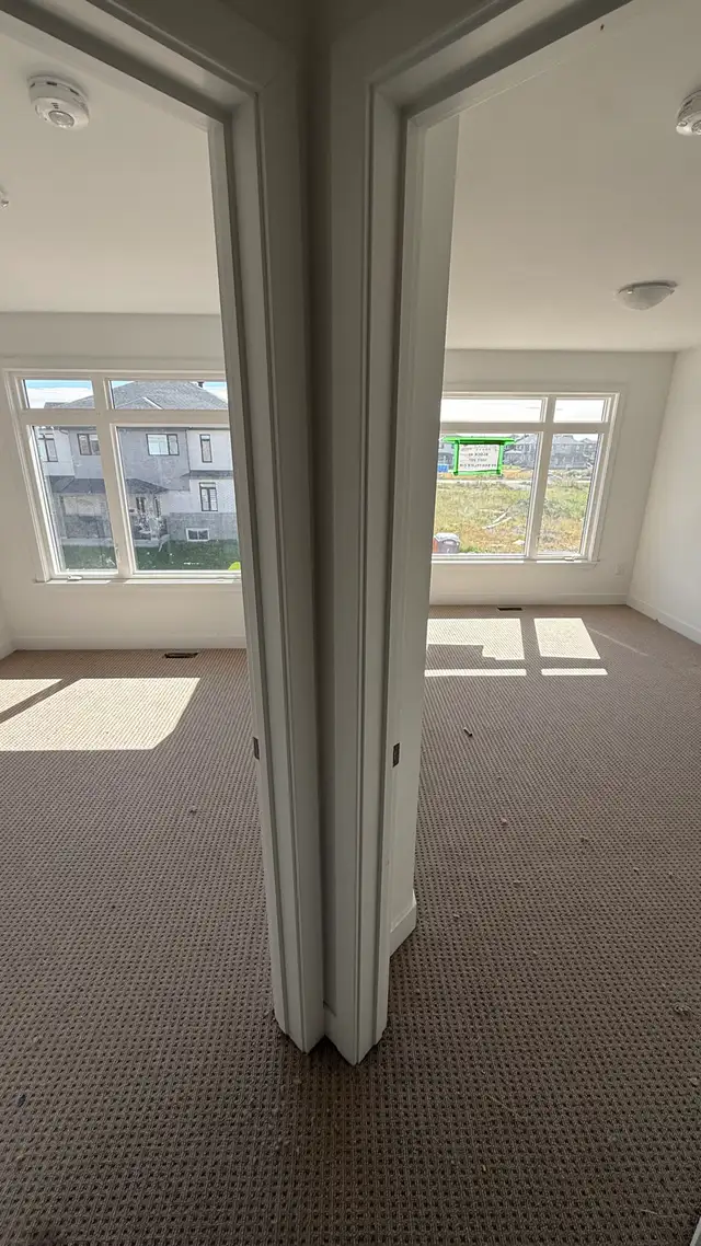 Carpet Installation576046332296581126