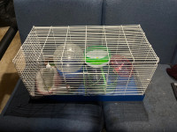 Hamster cage and other items 