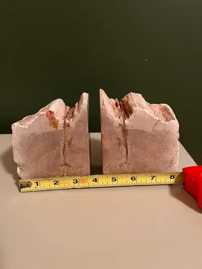 Petrified Wood Bookends, View more