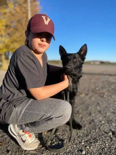 !!!GERMAN SHEPHERD PUPPIES!!!, View more