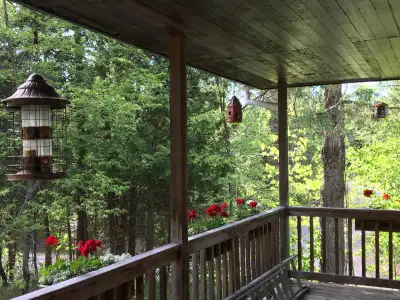 chalet à louer à Val Morin (été 2025)