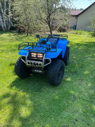 1989 Yamaha Big Bear 350 Runs good, tires are good, lights work, has ownership Pick up havelock Onta...