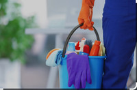 Looking for an experienced morning  female cleaner 