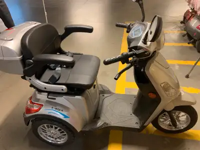 Vente 2 triporteurs électrique presque neuf (acheté avril 2025) au prix de 2995$ chaque. 110 km et 2...