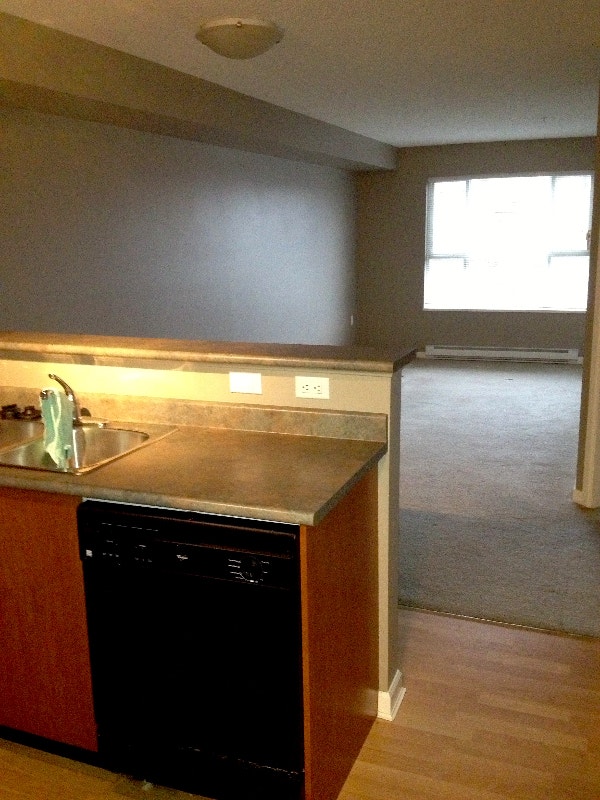 One Bedroom Apartment for rent Long Term Rentals Delta/Surrey/Langley Kijiji