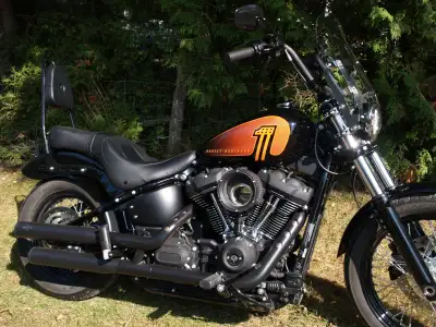 The 114 cubic inch (1868cc) Street Bob FXBBS is LIGHTEST, LOWEST and FASTEST of the Harley-Davidson...