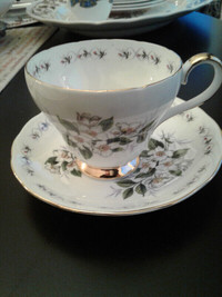 SALE Adderley Simplicity teacup