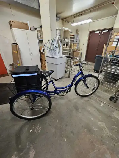 Schwinn Adult Tricycle, View more