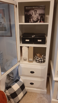 Solid Pine Storage / Display Unit or Bookcase with Glass Door