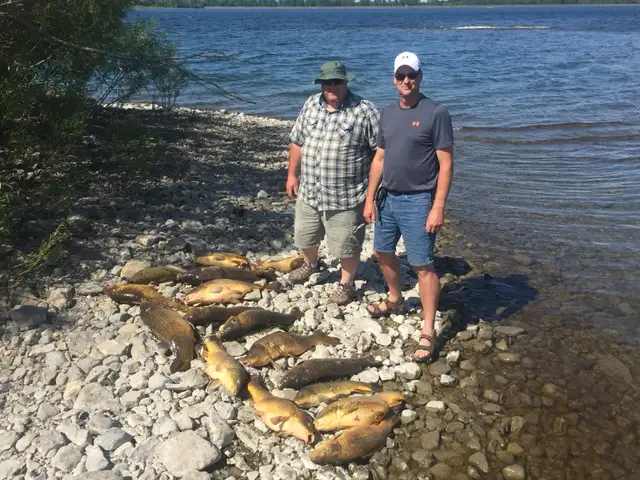 Bowfishing Guide62864742518529123