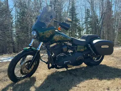 Selling my 2014 Harley-Davidson Street Bob. This beautiful custom painted bike, is in excellent shap...