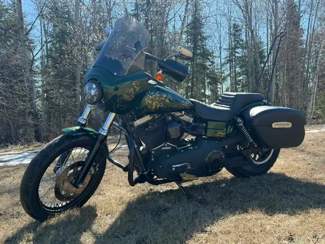 2014 Harley-Davidson street bob in Street, Cruisers & Choppers in Fort McMurray - Image 2