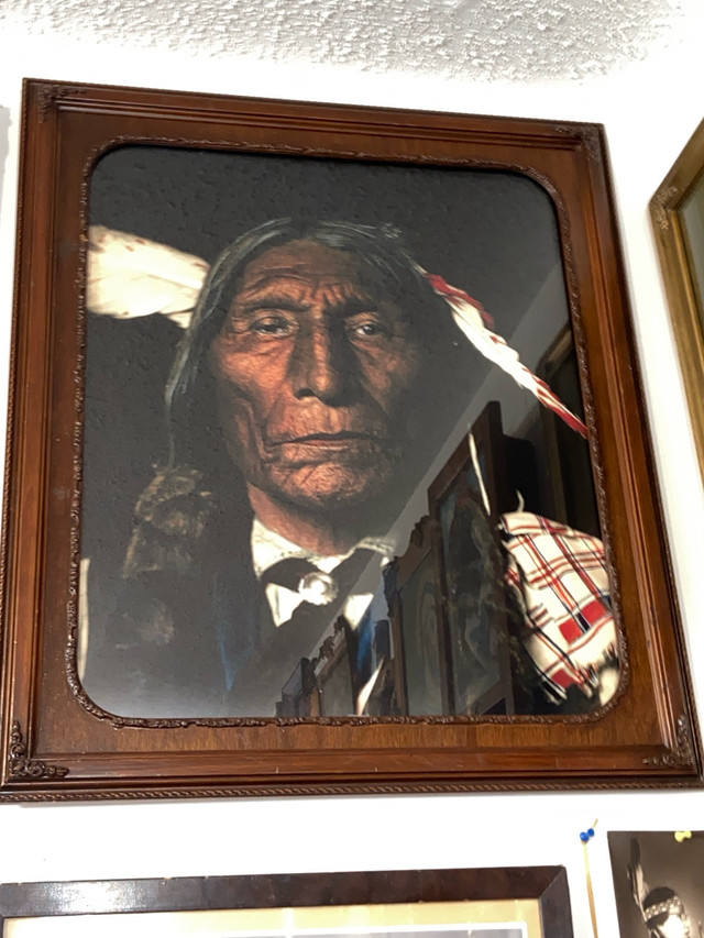 Large Chief Wolf Robe photo in Other in Calgary - Image 2