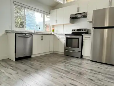 Available May 1 No stairs 4 Beds + 1.5 bath / renovated Main level house for rent Quiet and beautifu...