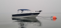 2008 Bayliner 195 Discovery