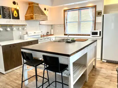 Lumineux 5 1/2 de 2 chambres sur 2 étages (r-d-c et sous-sol) avec cour privée et foyer au propane d...