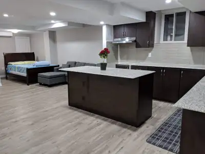 2 Bed 2 Bath Basement Apartment