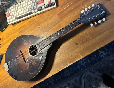 A fully functional mandolin in good condition