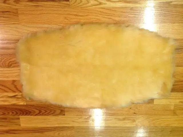 Taxidermie: peau de phoque (blanchon) in Other in Rimouski / Bas-St-Laurent - Image 2