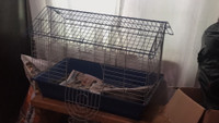Rabbit/ small animal cage 