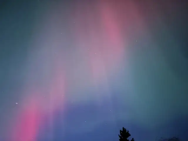 When was the last time you actually cleaned your house???64556782235906120