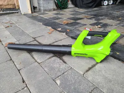 Greenworks leaf blower - works great...upgraded recently. Just bare tool.