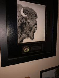 Rare 20 dollar bison coin with original print