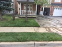 SODDING/GRASS REPLACEMENT LANDSCAPING BOOK NOW!