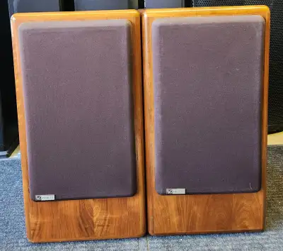 PAISLEY AE500 FLOOR STANDING SPEAKERS, View more