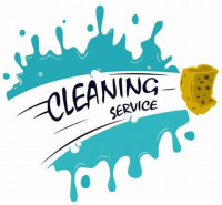 Experienced Cleaner House Cleaning