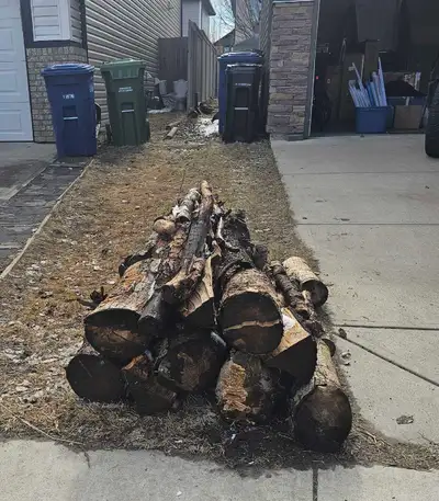 Free firewood and scrap wood , View more