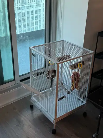 Bird Cage Brand New , View more