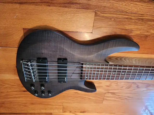 ESP LTD B-206SM 6 String Electric Bass! W/Gigbag! FREE SHIPPING! in Guitars in Calgary - Image 4