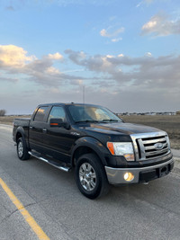 2009 Ford F-150 Crew Cab *Safetied* Financing Available*