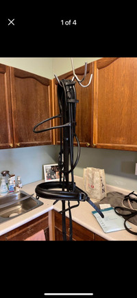 Dressage bridle