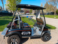 Custom Themed Golf Cart - Rare