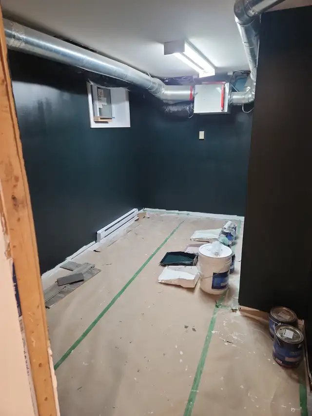 PAINTER 438 813-306362863720508673122