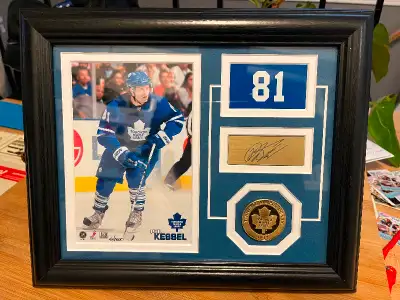 PHIL KESSEL #81 Certificate of authenticity on the back of picture frame $30 Firm
