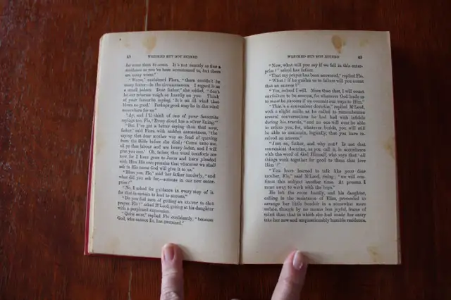 Wrecked But Not Ruined - By R.M. Ballantyne in Fiction in London - Image 6