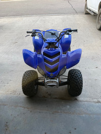 50cc raptor 