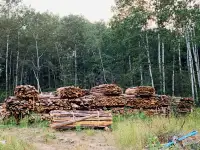 Firewood Slab