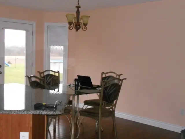 LOOKING FOR A PAINTER YOU CAN TRUST ?