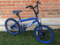 sold by bike mechanic: 20" wheels, teen BMX, "Brazen"
