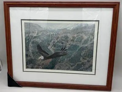 Good day to you, I have here a beautiful Print of an Eagle soaring high above a forested valley bene...