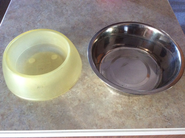 bols pour chien dans Accessoires  à Laval/Rive Nord - Image 2